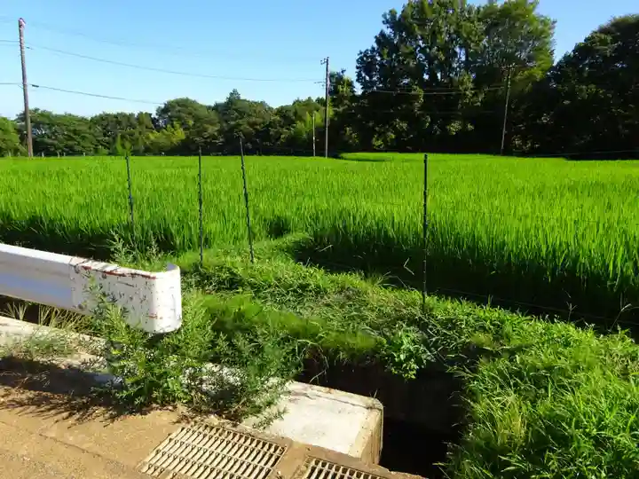 伊勢原 法泉寺の周辺