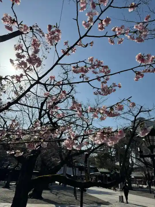 靖國神社(東京都)