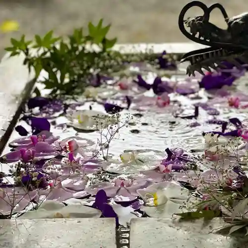 札幌諏訪神社の手水舎