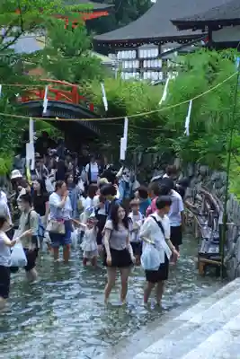 賀茂御祖神社（下鴨神社）(京都府)
