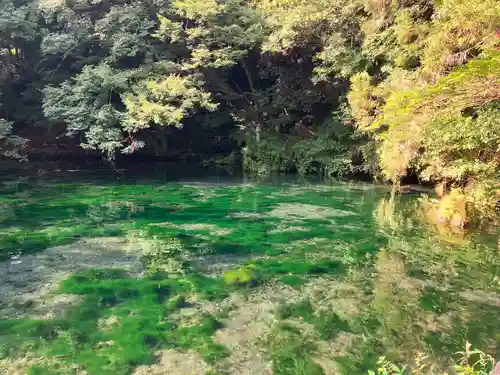 涌釜神社(栃木県)