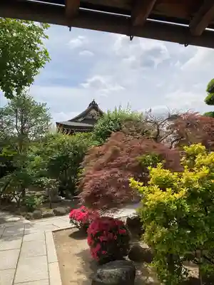 浄土宗　淨音寺(埼玉県)