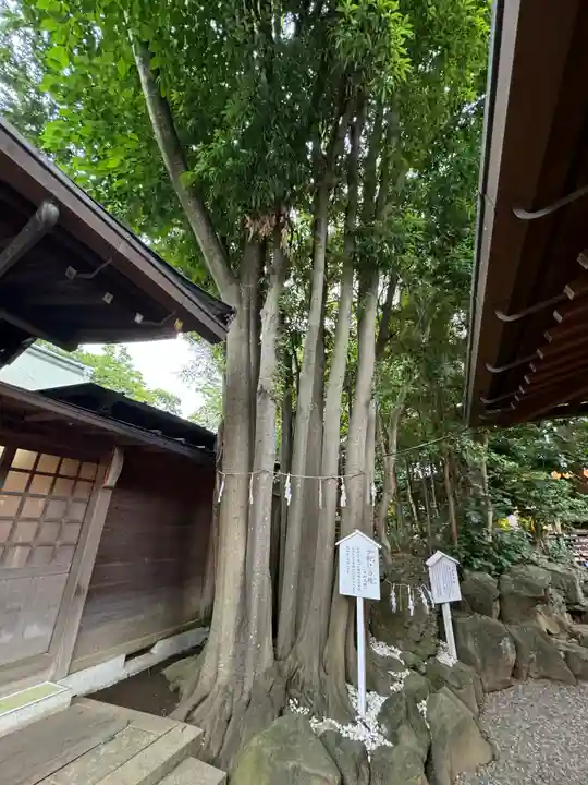検見川神社(千葉県)