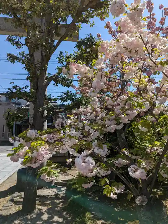 西院春日神社(京都府)