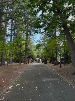 大谷地神社(北海道)