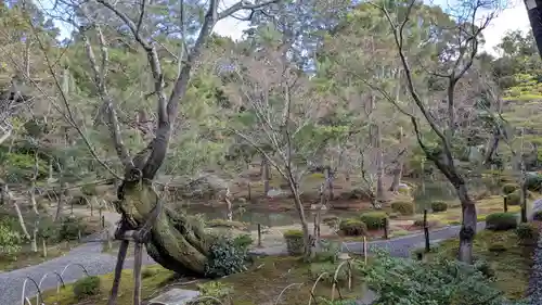 等持院の庭園