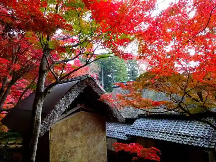 教林坊(滋賀県)