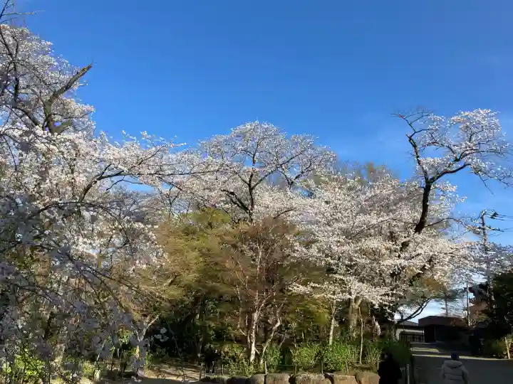 本土寺(千葉県)