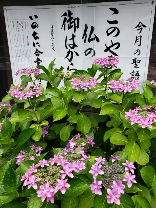 常泉院(東京都)