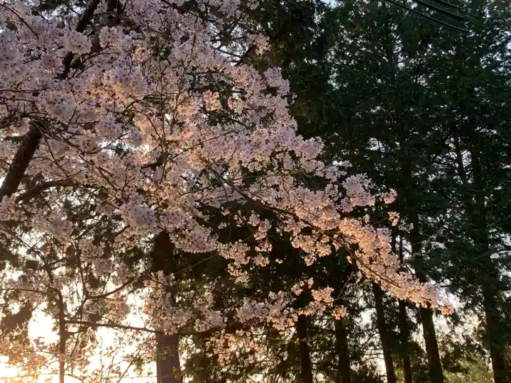 牟禮山観音禅寺の自然