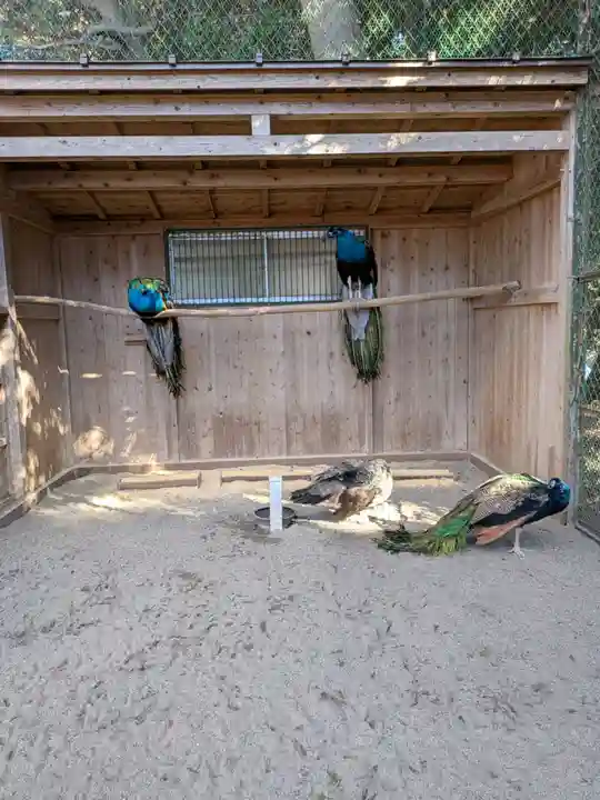 岩槻久伊豆神社(埼玉県)