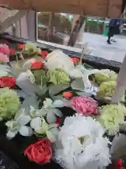 鳩森八幡神社の手水