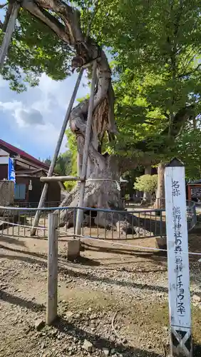 新宮熊野神社(福島県)