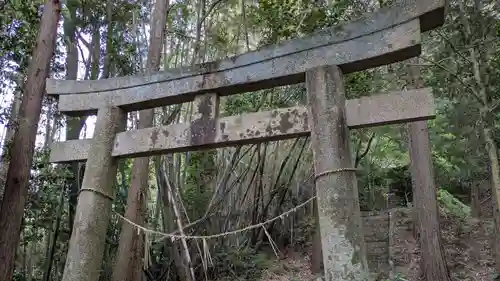 日枝神社の鳥居