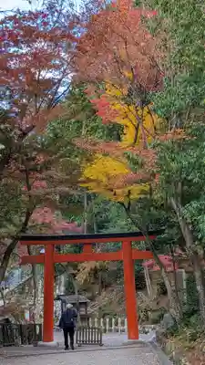 吉田神社(京都府)