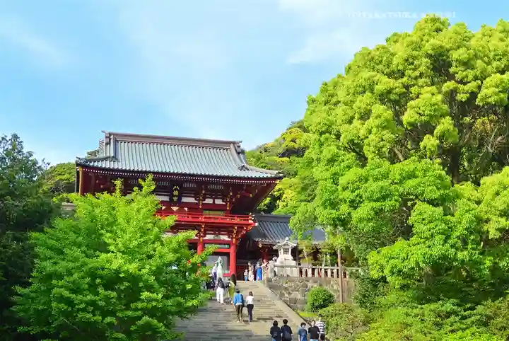 鶴岡八幡宮(神奈川県)
