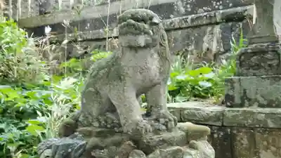 大杉神社の狛犬