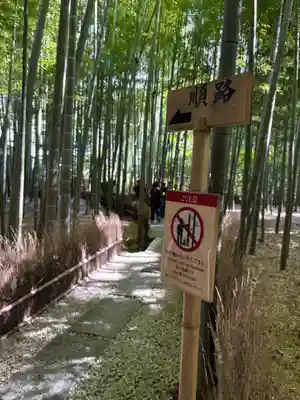 報国寺(神奈川県)