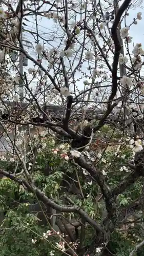 常徳寺(京都府)