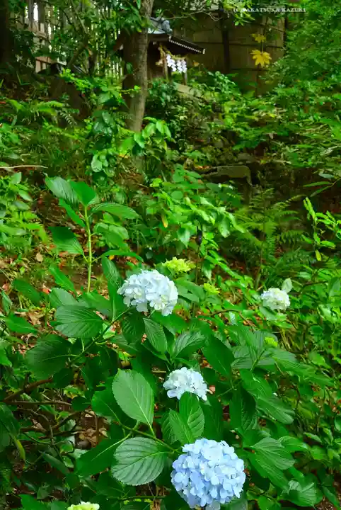 伊勢山皇大神宮(神奈川県)
