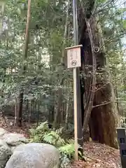 伊勢神宮内宮（皇大神宮）(三重県)