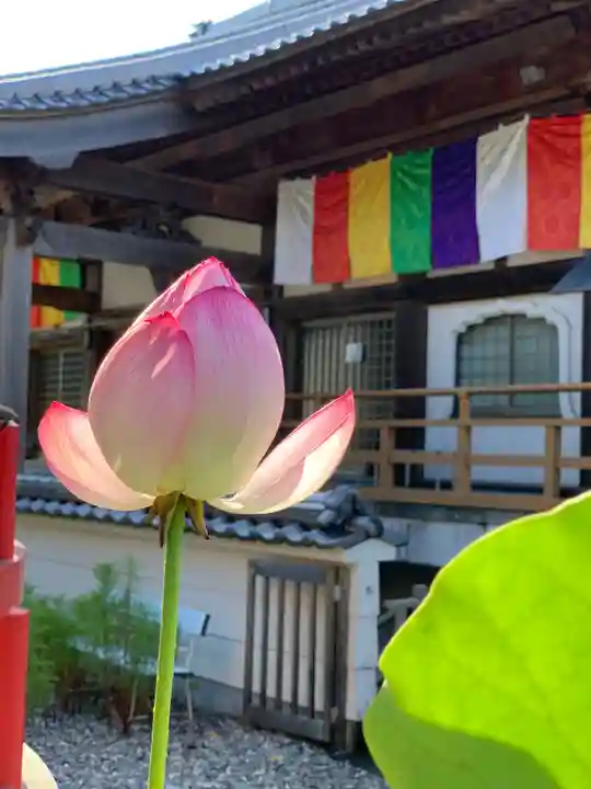 岩本寺の本殿・本堂