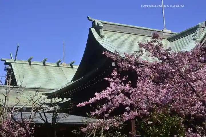 桜神宮(東京都)