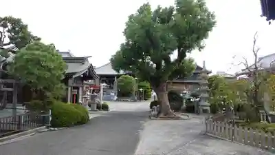 井戸寺(徳島県)