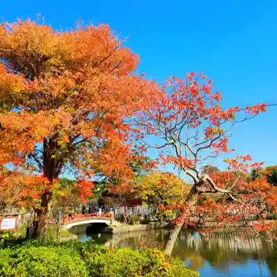 旗上弁財天社(神奈川県)