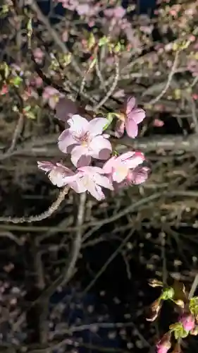 東寺（教王護国寺）(京都府)