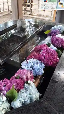 新琴似神社の手水舎