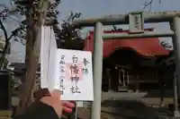 白幡神社の鳥居