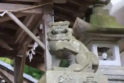 和田神社の狛犬