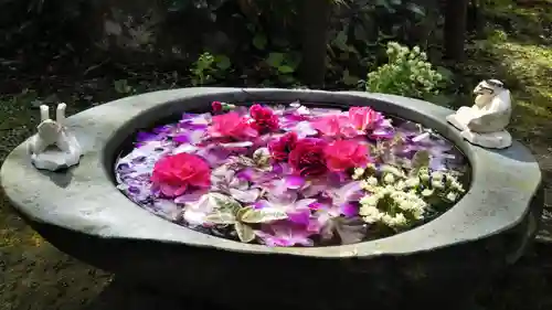 かっぱの寺 栖足寺の手水