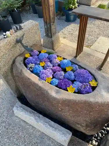 水堂須佐男神社の手水舎
