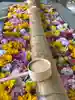 群馬県護国神社(群馬県)