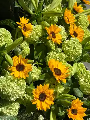 上尾御嶽神社の手水舎