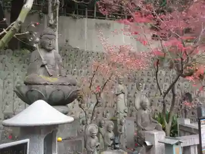 大圓寺(東京都)