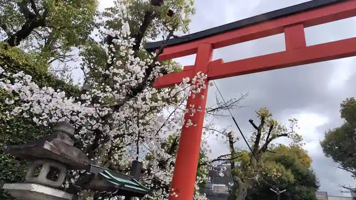 賀茂波爾神社(賀茂御祖神社境外摂社)(京都府)