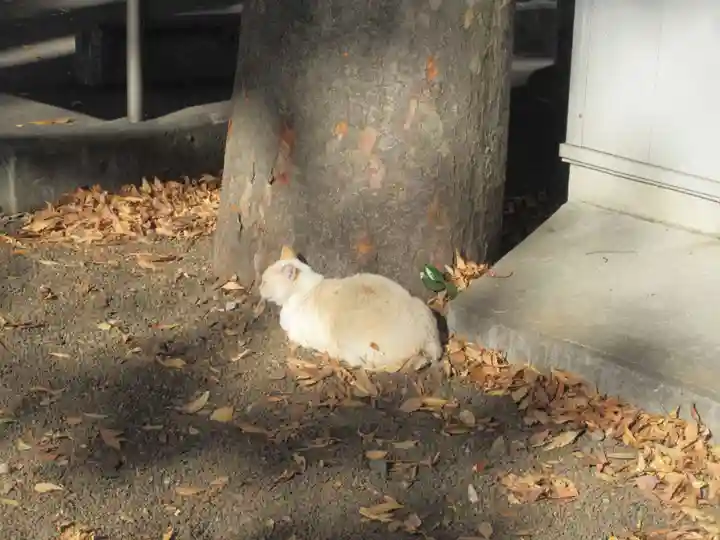 大鳥神社(東京都)