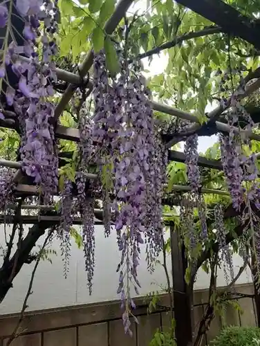 西方山極楽寺(岐阜県)