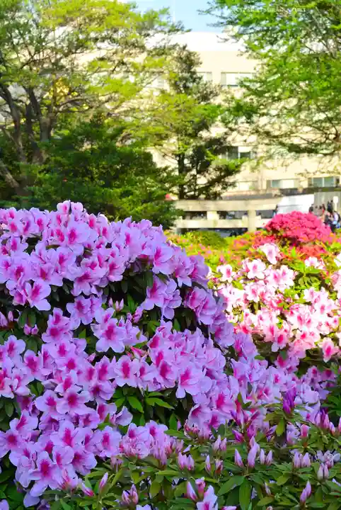 根津神社(東京都)