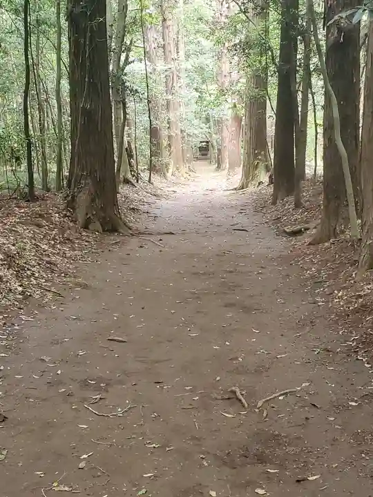 白幡神社(千葉県)