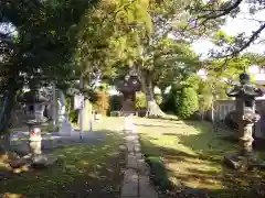 鎌足神社の建物その他