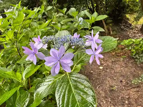 長慶寺(大阪府)
