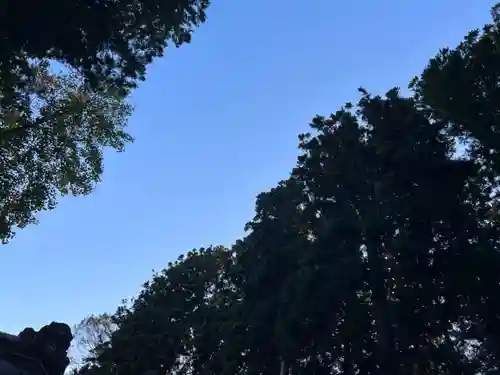 大宮温泉神社の自然