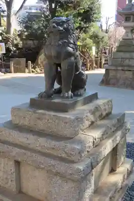 鳩森八幡神社の狛犬