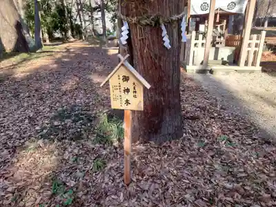 大星神社の自然