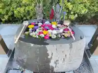 駒込妙義神社(東京都)