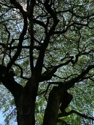 光厳寺(栃木県)